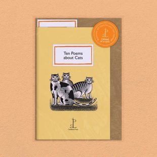 View ‘Ten Poems about Cats’ pack shot Pack image of the Ten Poems about Cats poetry pamphlet on a decorative background