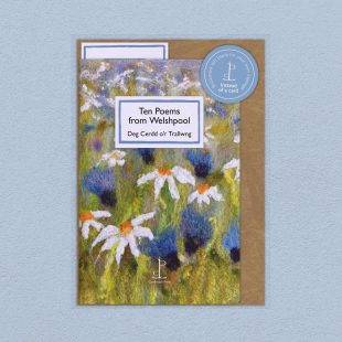 Pack image of the Ten Poems from Welshpool: Deg Cerdd o’r Trallwng poetry pamphlet on a decorative background