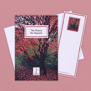 View ‘Ten Poems for Autumn’ group shot Group image of the Ten Poems for Autumn poetry pamphlet on a decorative background