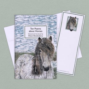 View ‘Ten Poems about Horses’ group shot Group image of the Ten Poems about Horses poetry pamphlet on a decorative background