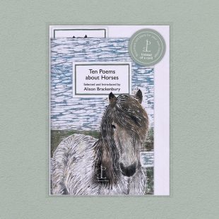 View ‘Ten Poems about Horses’ pack shot Pack image of the Ten Poems about Horses poetry pamphlet on a decorative background
