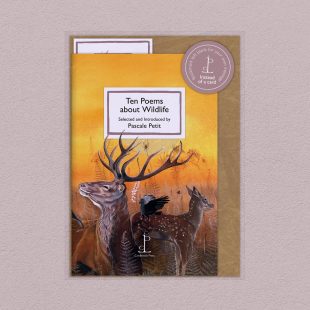 Pack image of the Ten Poems about Wildlife poetry pamphlet on a decorative background