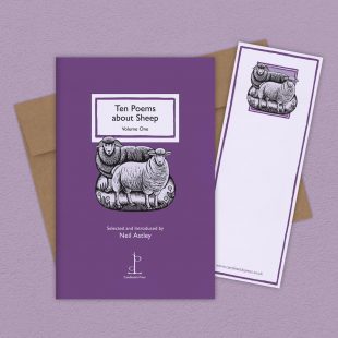 View ‘Ten Poems about Sheep: Volume One’ group shot Group image of the Ten Poems about Sheep: Volume One poetry pamphlet on a decorative background