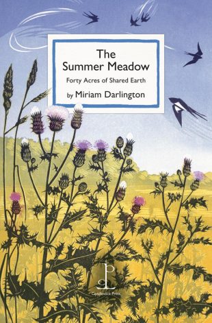 Front cover of the The Summer Meadow: Forty Acres of Shared Earth - by Miriam Darlington poetry pamphlet